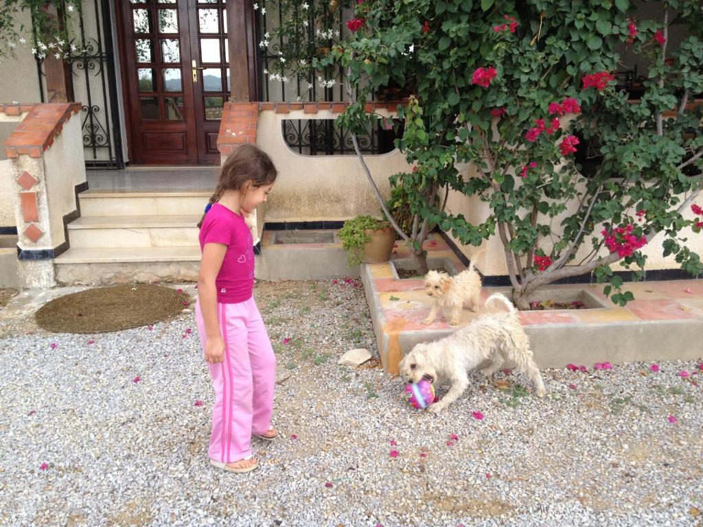 Dar Salima Bed & Breakfast Mornag Exterior photo