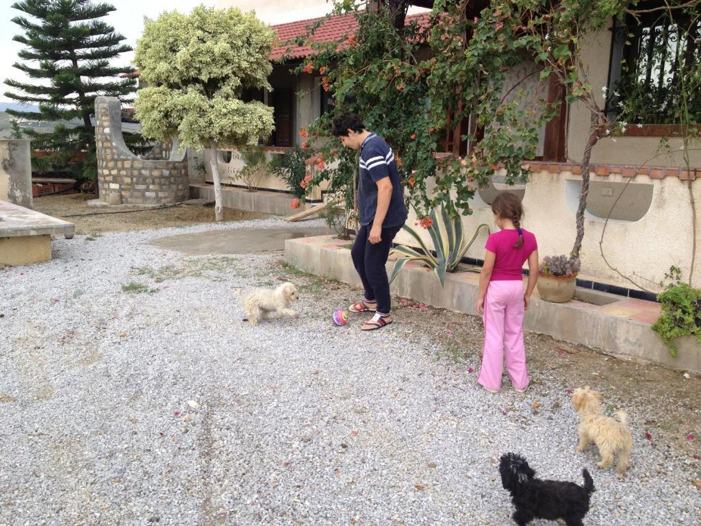 Dar Salima Bed & Breakfast Mornag Exterior photo